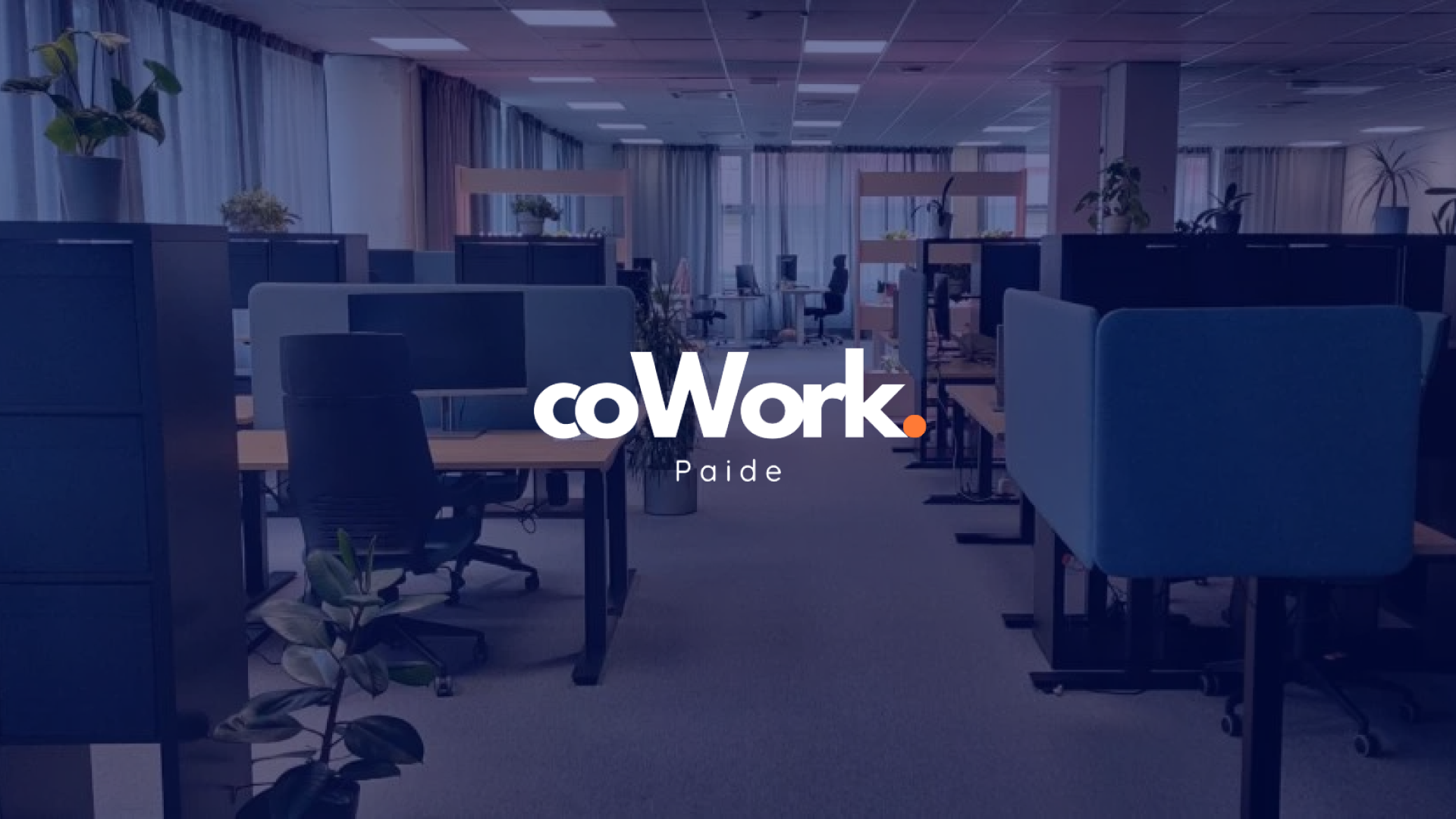 cowork-single